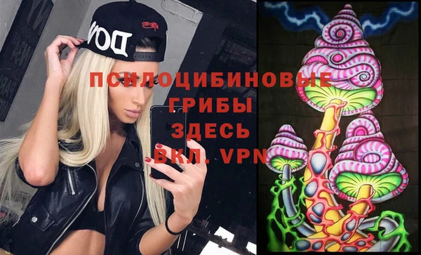 PSILOCYBIN Дмитровск