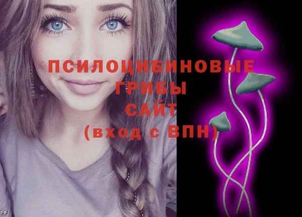 PSILOCYBIN Дмитровск